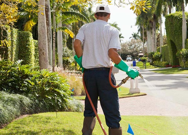 About Coolidge TX Pest Control